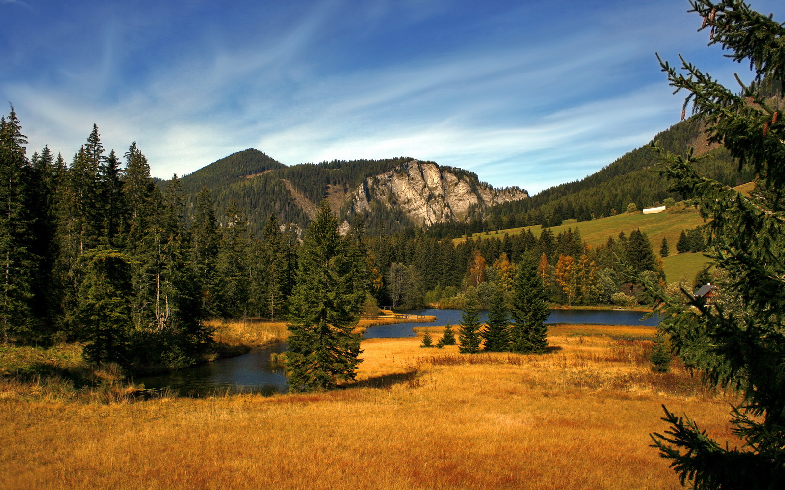 英超防守体系调整后犯规率变化及其战术启示,英超新规则