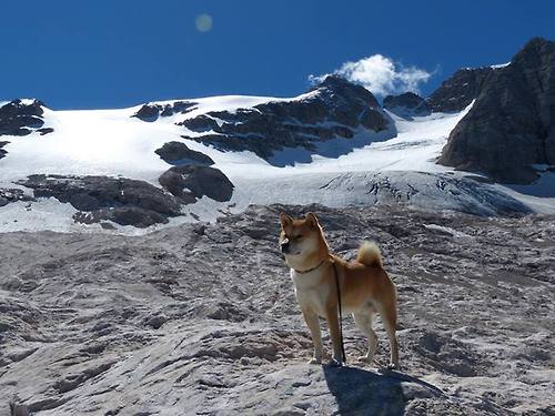 FIBA “Hoops For Green” 在阿尔及利亚举办环保篮球公益项目
