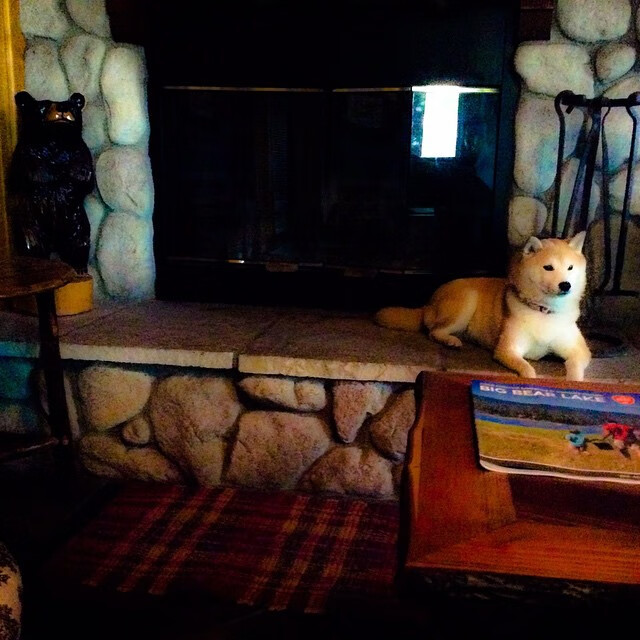 世界杯预选赛中国队逆袭 球员拼搏精神感动人心,世界杯预选赛 中国队出线分析