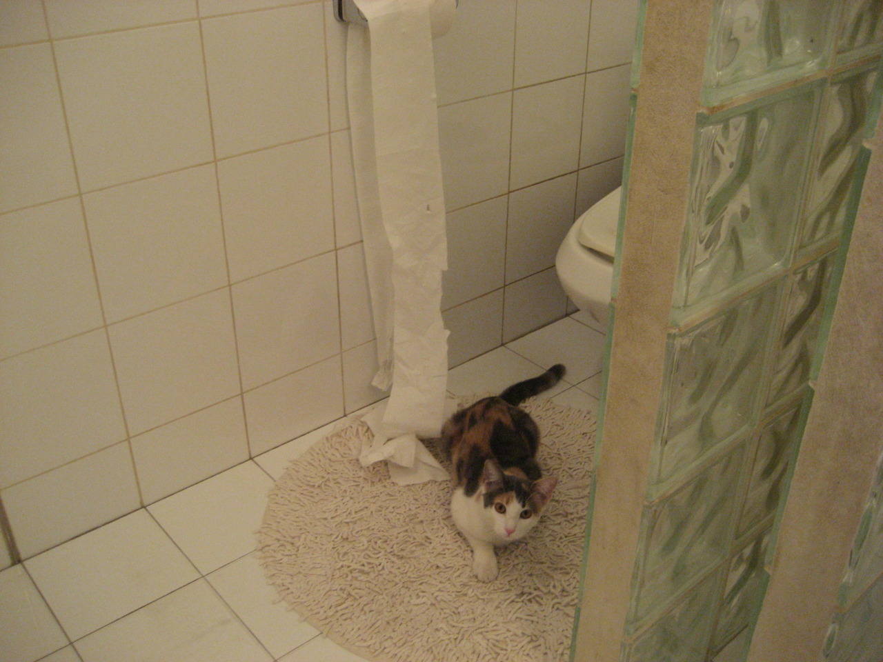 乐鱼体育在线登录-2026世界杯赛场设计融入未来科技元素，成科技体验地标，2026世界杯举办国家排序